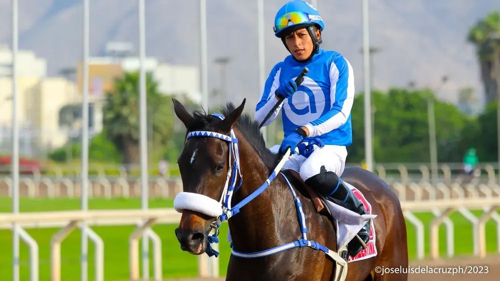 WhatsApp Image 2023-12-25 at 12.43.41 PM