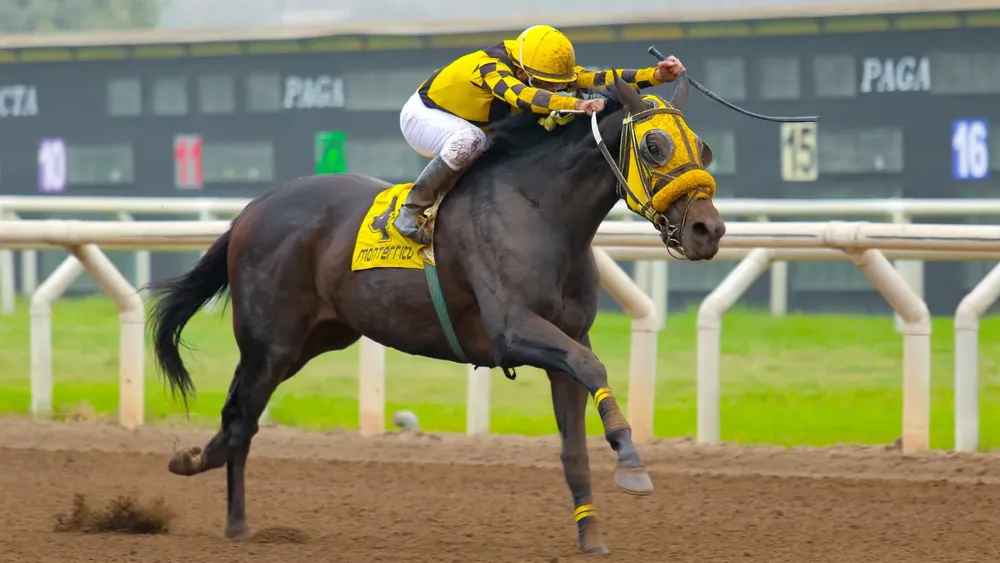 WhatsApp Image 2024-05-27 at 14.48.36