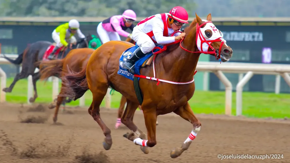 WhatsApp Image 2024-06-24 at 15.42.22