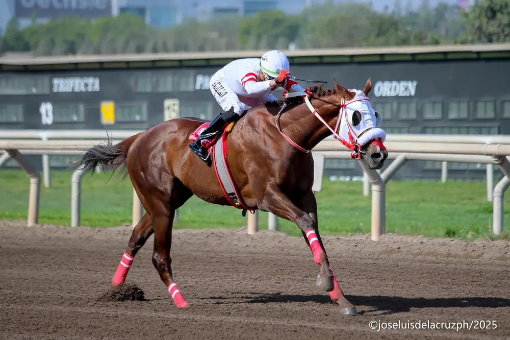 WhatsApp Image 2025-11-10 at 1.21.22 PM