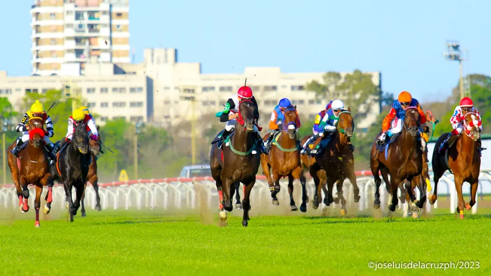 WhatsApp Image 2024-03-20 at 5.44.15 PM