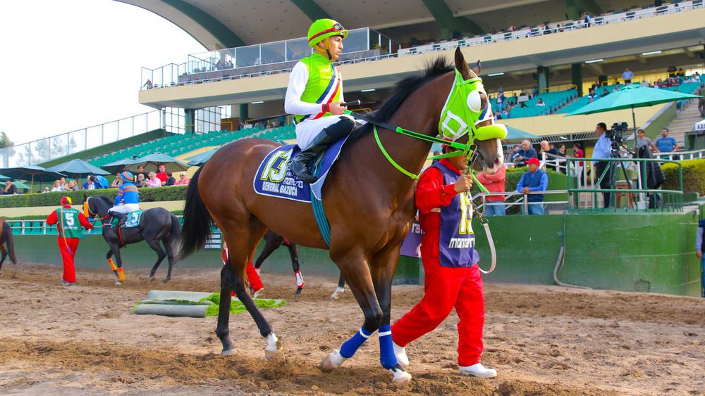 WhatsApp Image 2023-10-11 at 6.29.51 PM