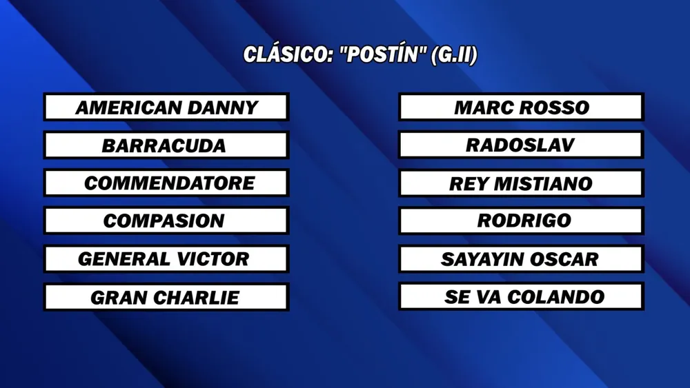 WhatsApp Image 2025-11-17 at 2.25.59 PM (1)