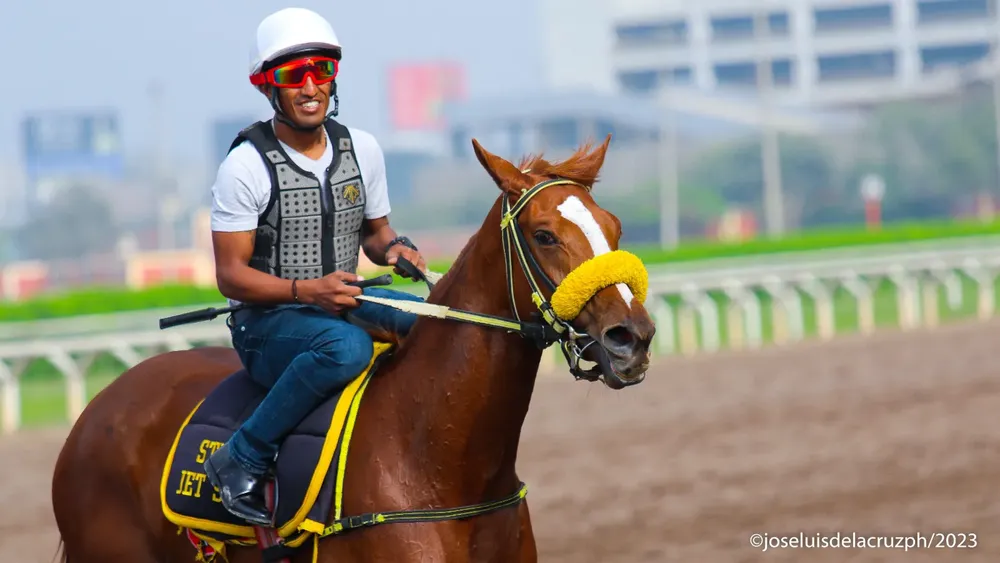 WhatsApp Image 2023-12-11 at 10.09.39 AM