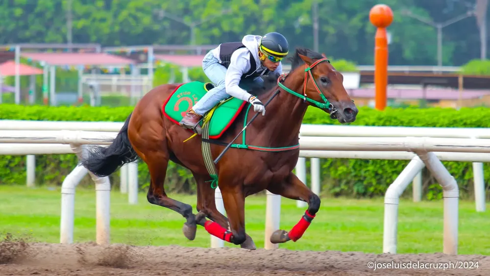 WhatsApp Image 2024-02-19 at 9.50.58 AM