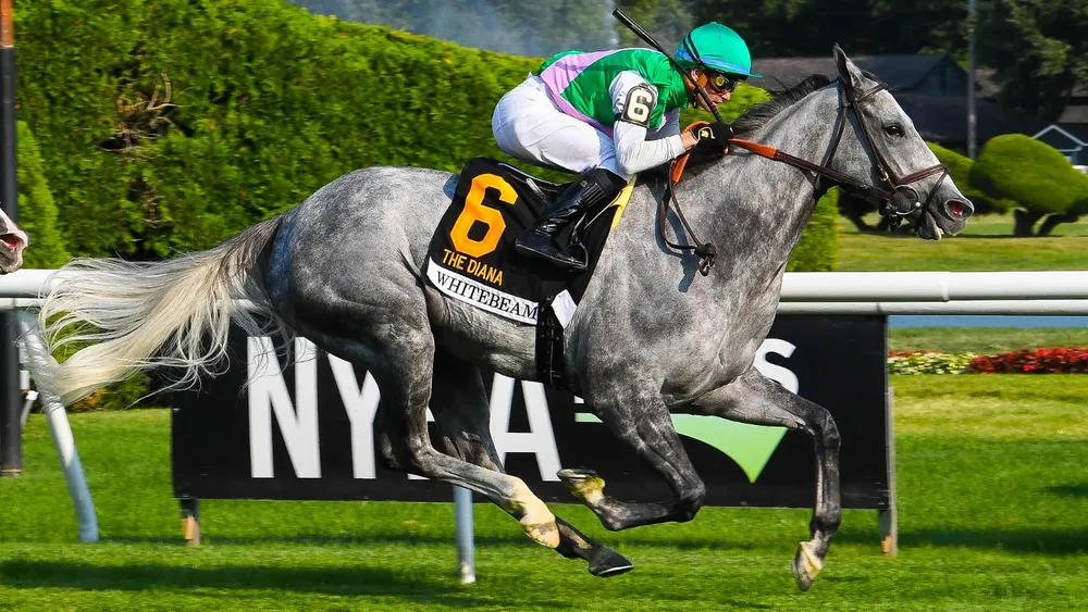 WhatsApp Image 2024-07-18 at 11.14.27