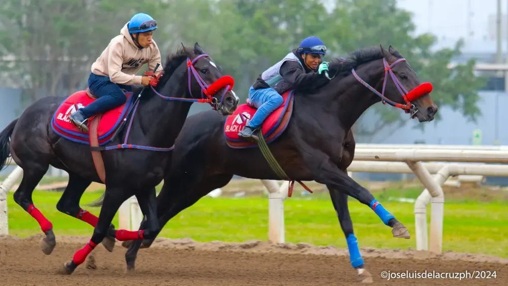 WhatsApp Image 2024-06-17 at 10.21.20