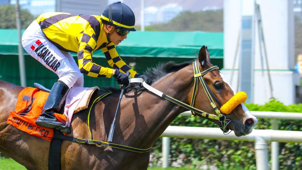 WhatsApp Image 2023-09-17 at 1.50.23 PM