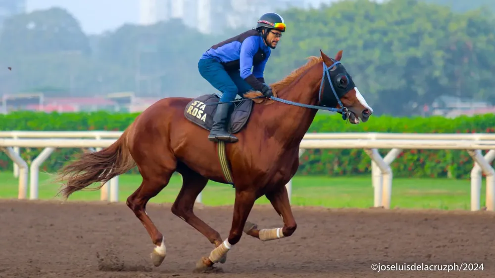 WhatsApp Image 2024-05-28 at 10.39.31