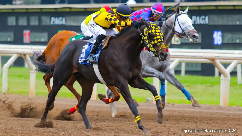 WhatsApp Image 2024-05-20 at 15.20.30