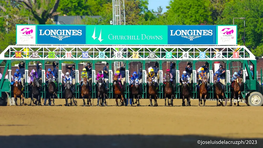 WhatsApp Image 2024-04-25 at 15.17.49