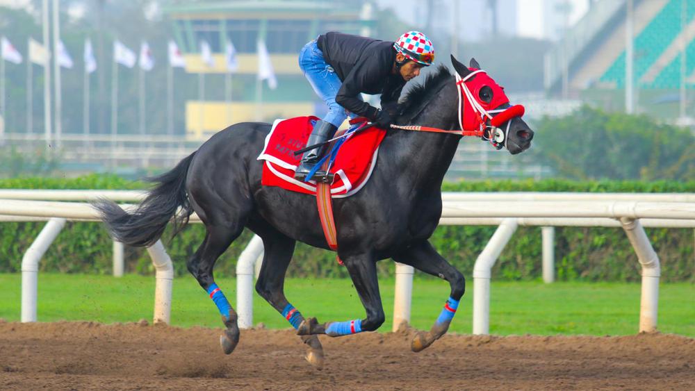 WhatsApp Image 2023-10-14 at 10.39.05 AM