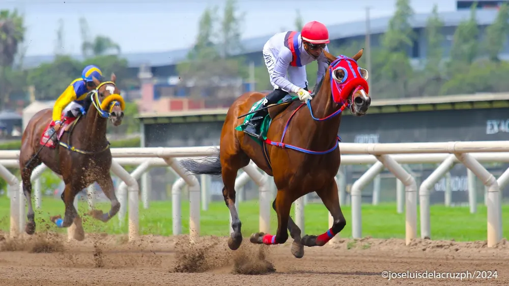 WhatsApp Image 2024-01-06 at 2.17.17 PM