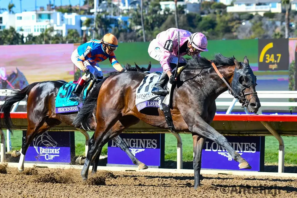 WhatsApp Image 2024-11-02 at 17.09.39