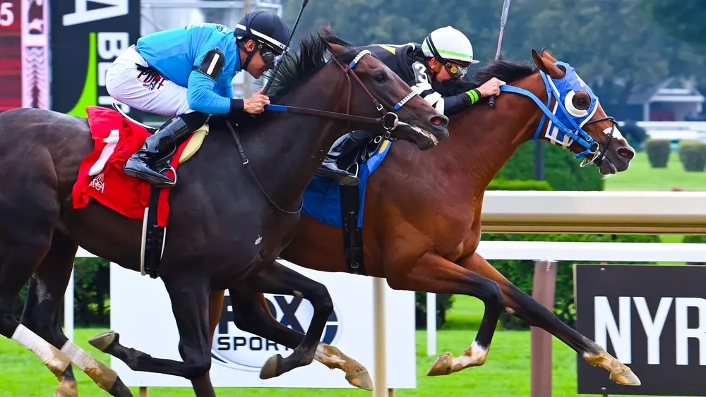 WhatsApp Image 2024-03-27 at 3.40.10 AM