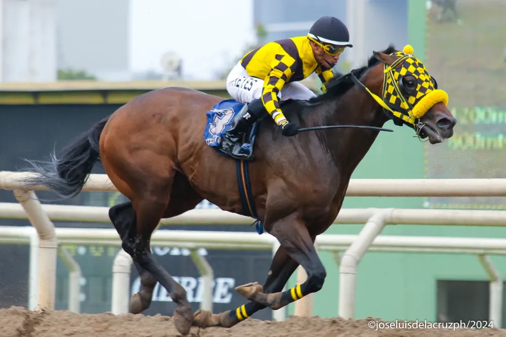 WhatsApp Image 2024-10-07 at 09.01.06