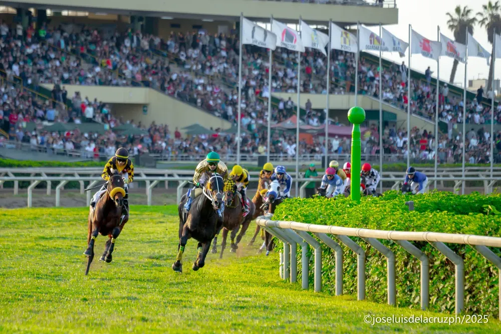 WhatsApp Image 2026-01-09 at 12.18.22 PM