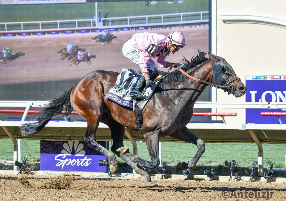 WhatsApp Image 2024-11-02 at 17.06.24