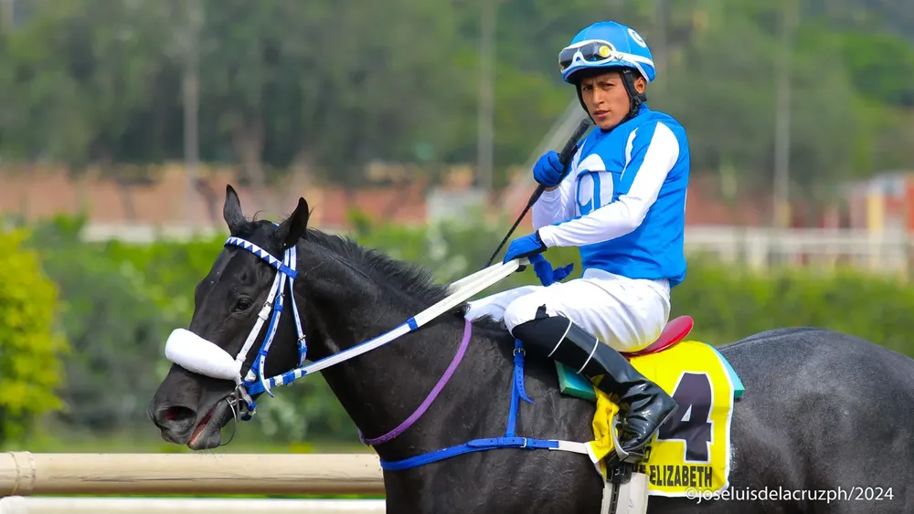 WhatsApp Image 2024-01-24 at 11.39.57 AM