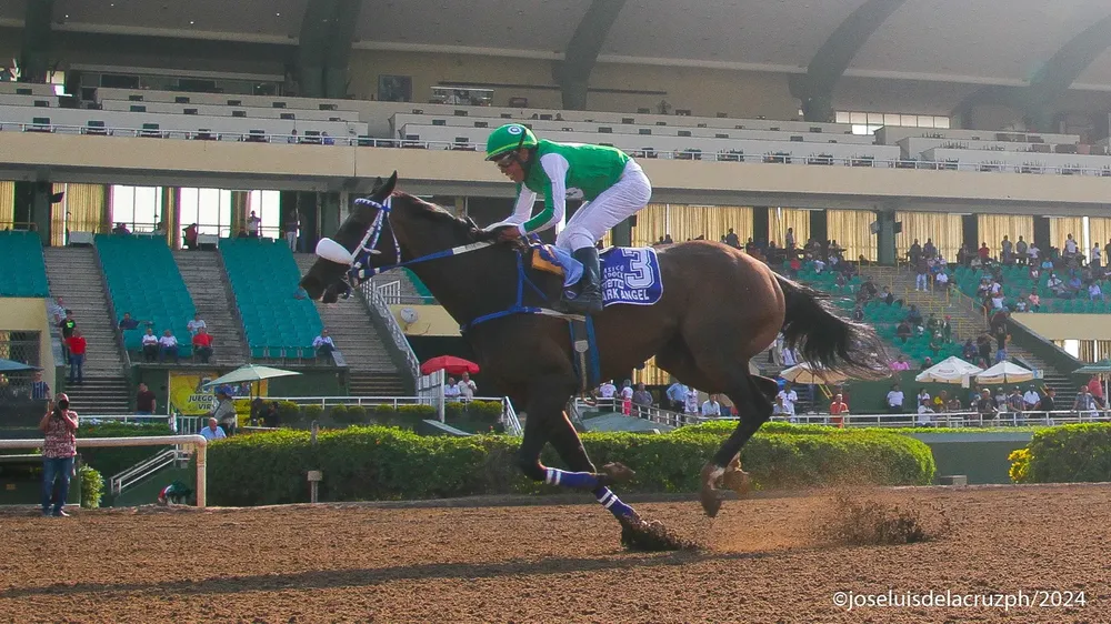 WhatsApp Image 2024-04-06 at 16.08.25