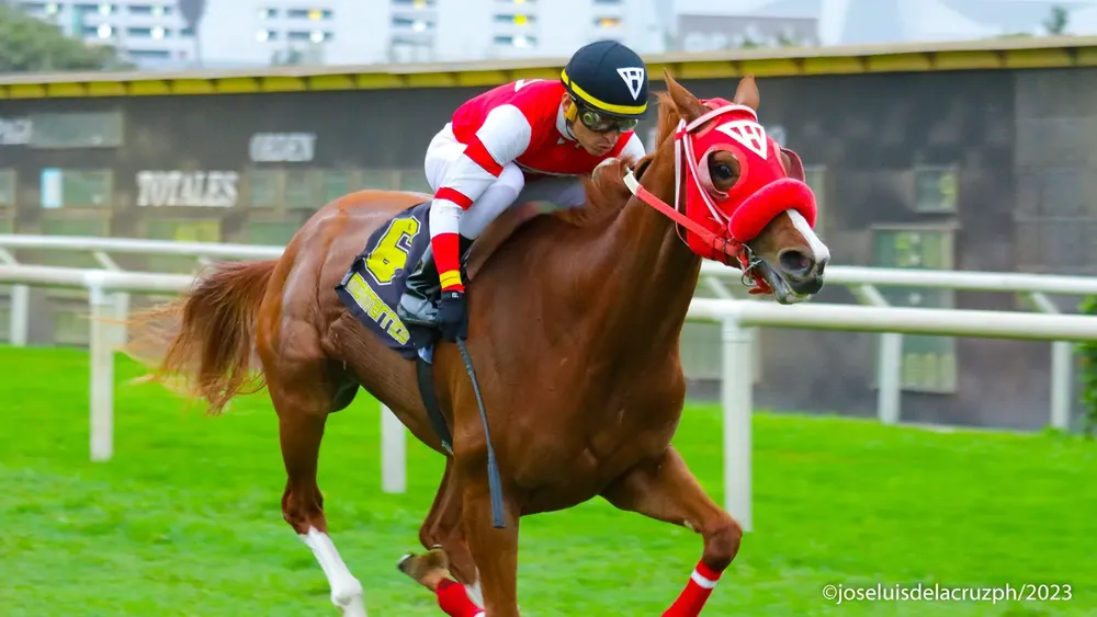 WhatsApp Image 2024-05-17 at 10.31.26