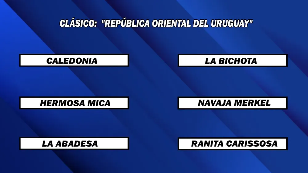 WhatsApp Image 2025-08-18 at 2.18.20 PM (1)