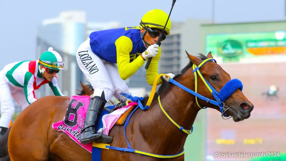 WhatsApp Image 2024-05-14 at 13.02.50