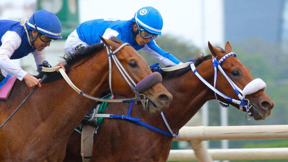 WhatsApp Image 2023-10-15 at 6.11.53 PM