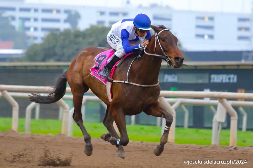 WhatsApp Image 2024-09-16 at 10.07.36 (3)