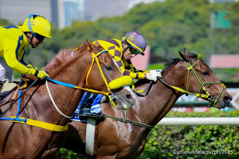 WhatsApp Image 2025-12-29 at 2.42.44 AM