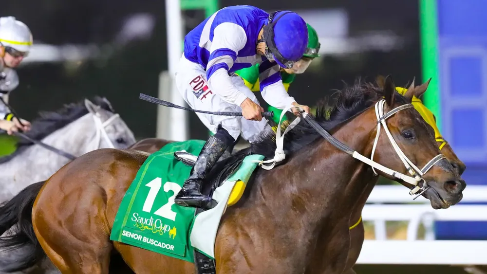 WhatsApp Image 2024-02-24 at 2.01.26 PM