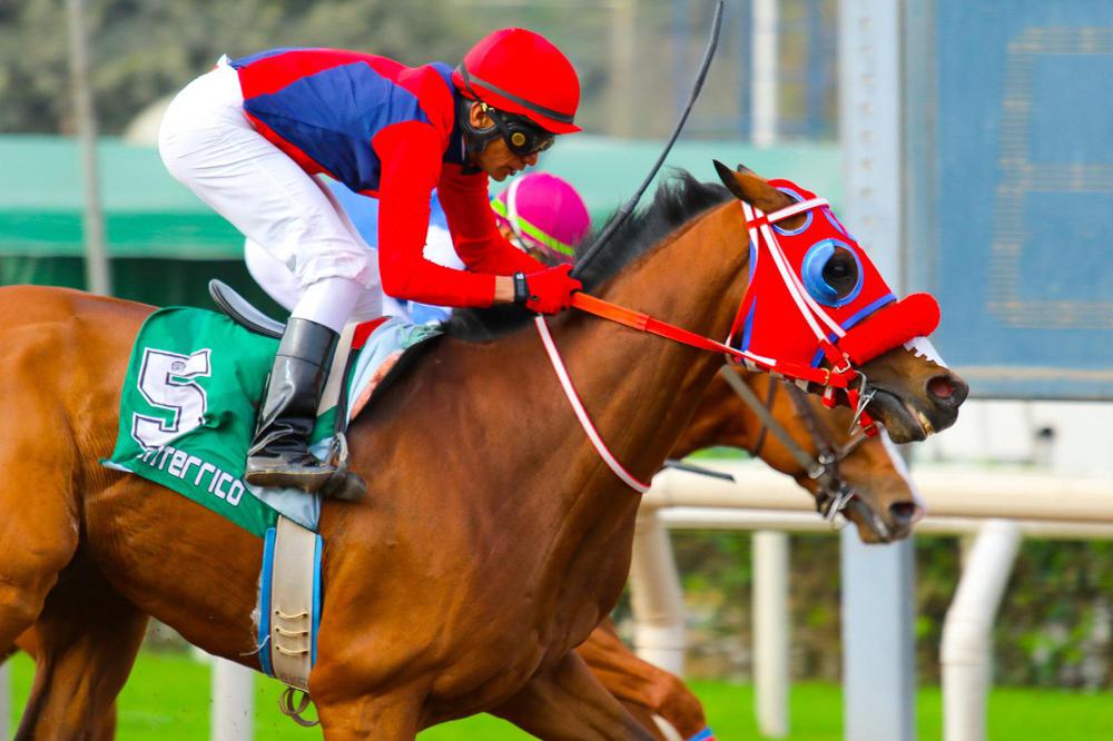 WhatsApp Image 2023-07-15 at 4.13.26 PM