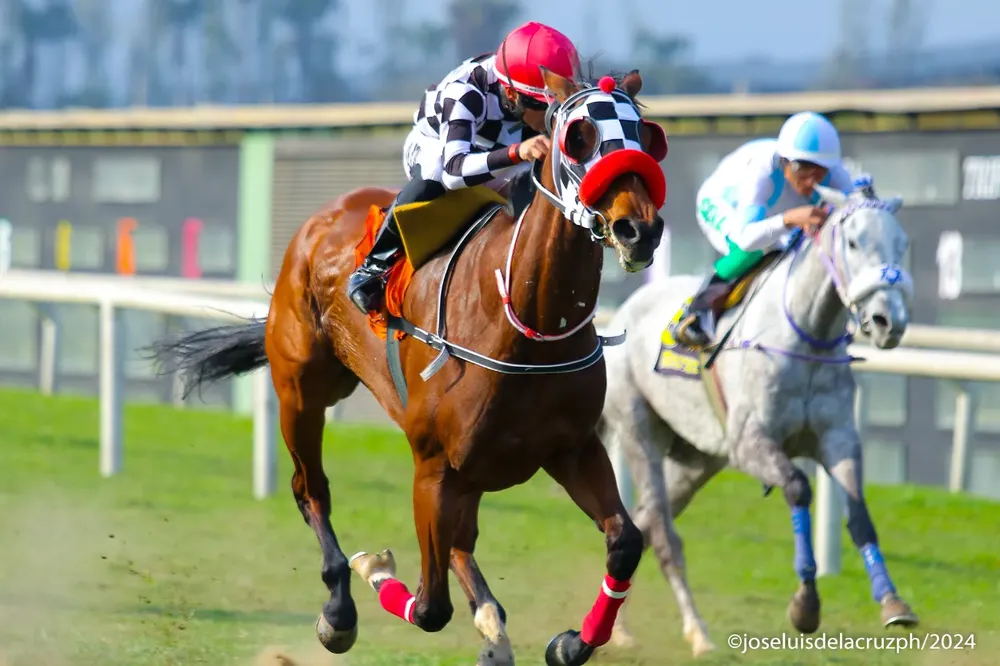 WhatsApp Image 2024-10-10 at 17.01.31