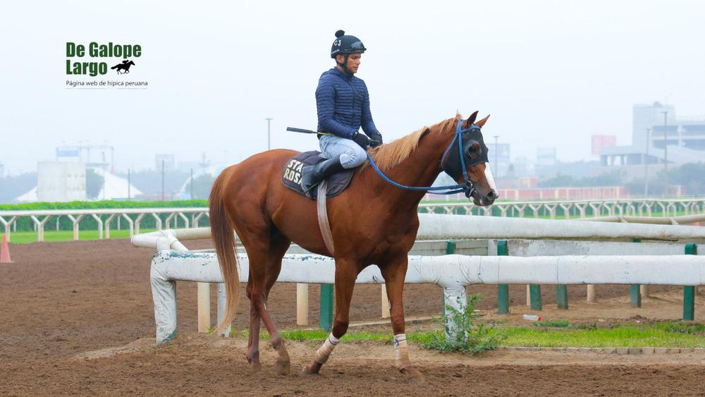 WhatsApp Image 2023-10-11 at 11.01.46 AM