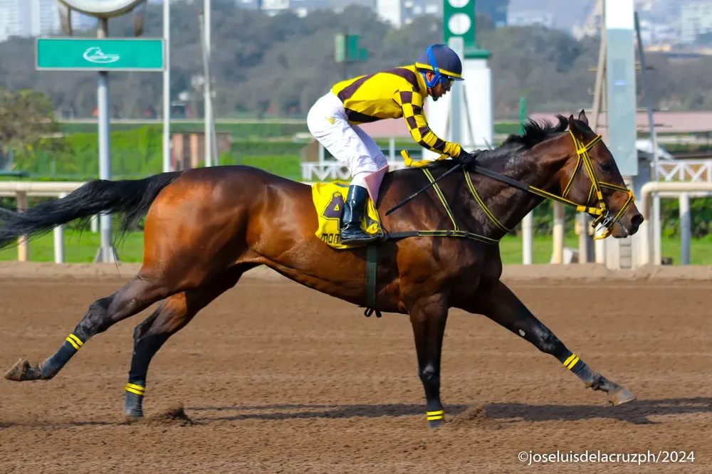 WhatsApp Image 2024-08-20 at 15.14.34