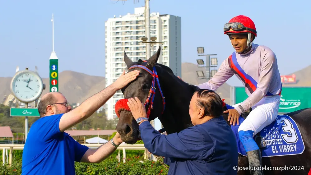 WhatsApp Image 2024-07-18 at 11.02.32