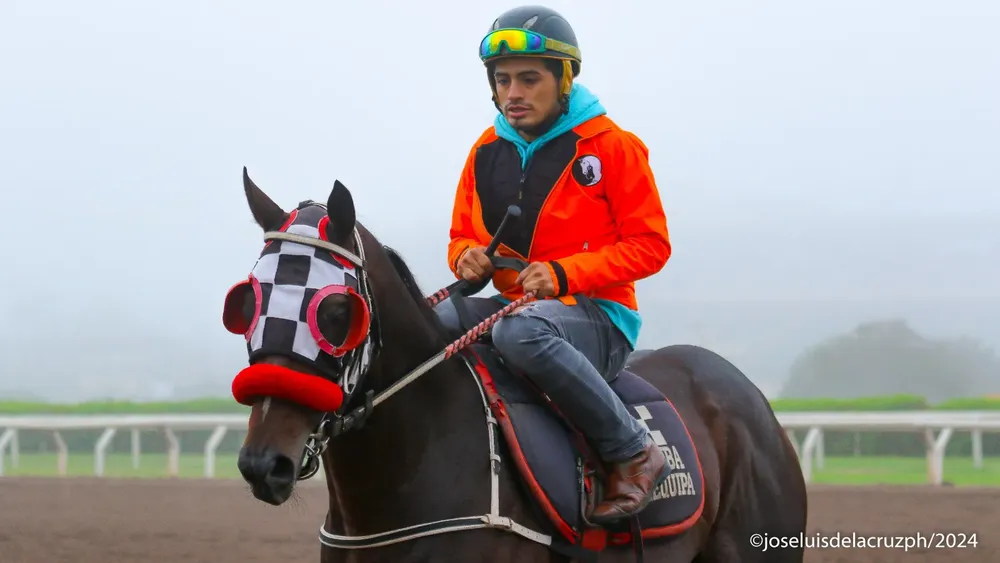 WhatsApp Image 2024-05-18 at 10.01.35