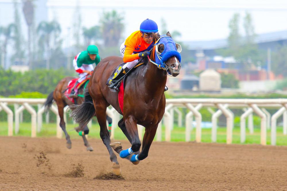 WhatsApp Image 2023-07-16 at 6.21.04 AM