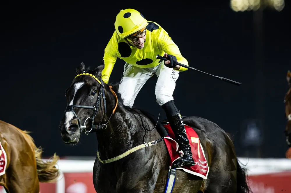 WhatsApp Image 2025-11-15 at 1.25.45 PM