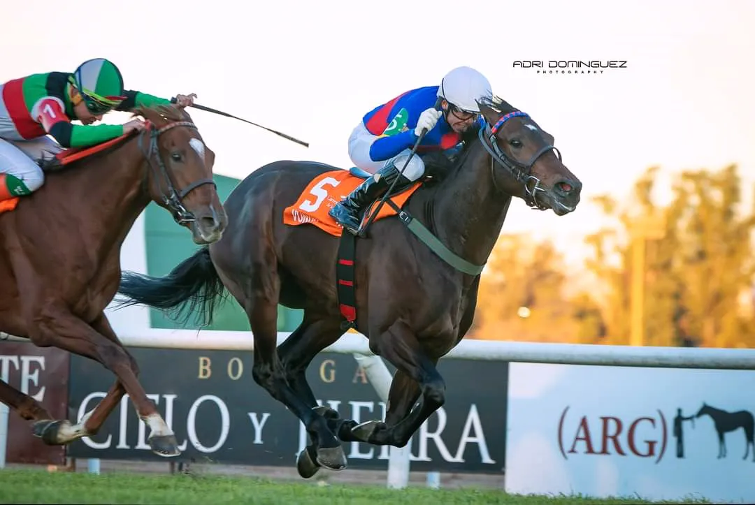 WhatsApp Image 2024-06-29 at 18.53.15