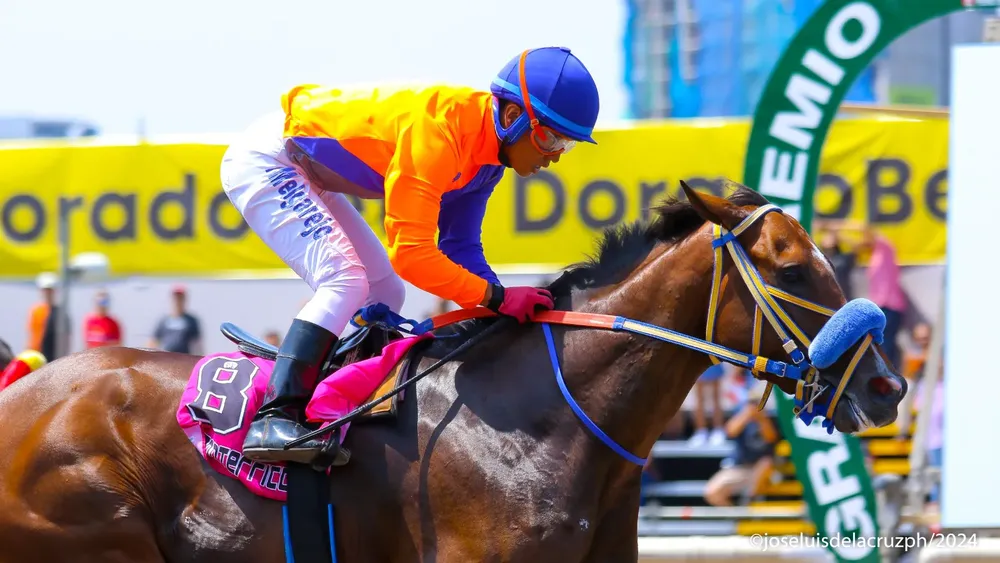 WhatsApp Image 2024-04-14 at 13.23.40