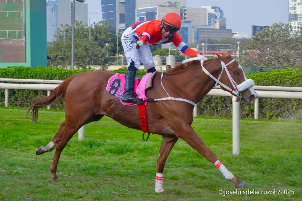 WhatsApp Image 2025-10-19 at 2.24.53 PM