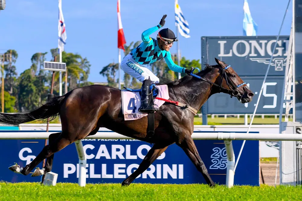 WhatsApp Image 2025-12-13 at 10.19.29 PM