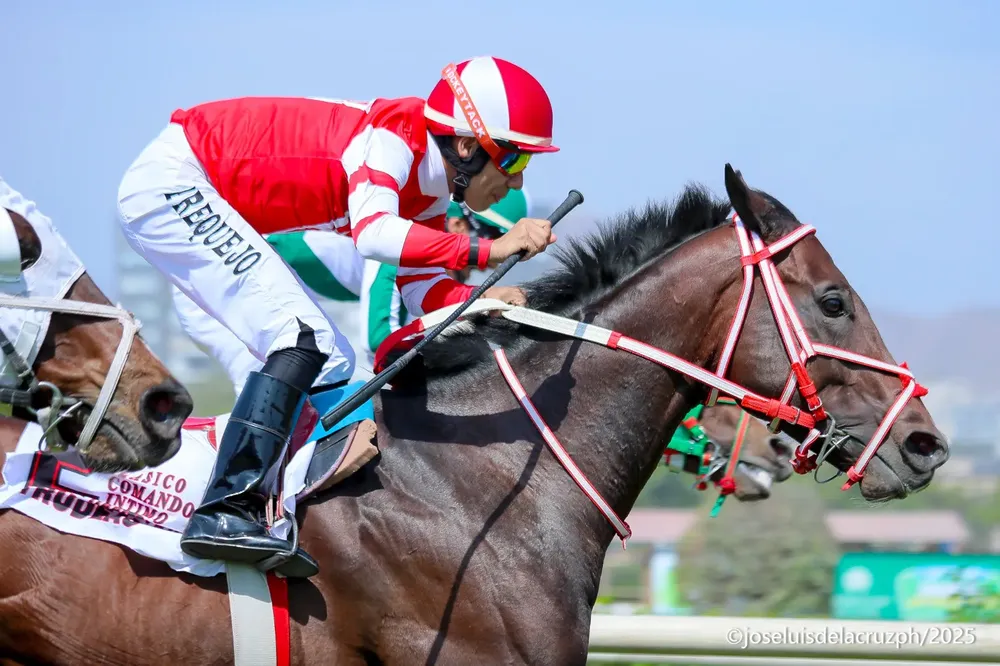 WhatsApp Image 2025-11-10 at 1.17.58 PM