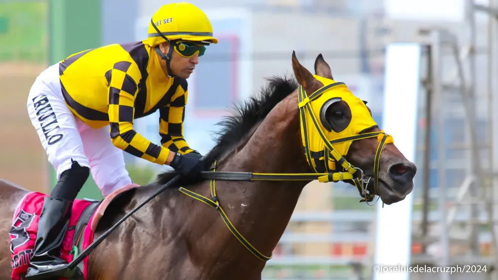 WhatsApp Image 2024-04-20 at 13.52.16