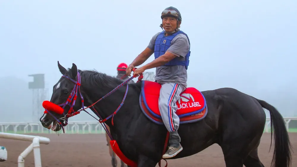 IMG-20231030-WA0002(1)