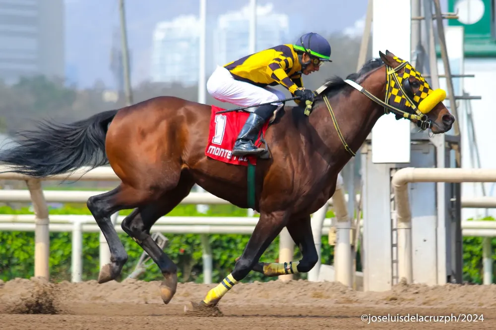 WhatsApp Image 2024-09-28 at 10.00.29