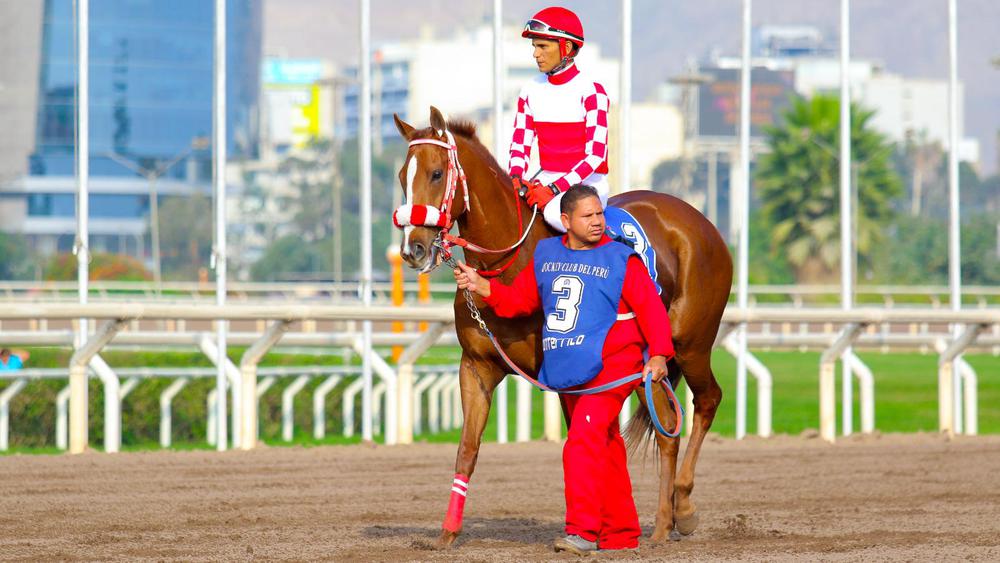 WhatsApp Image 2023-08-23 at 6.38.56 PM