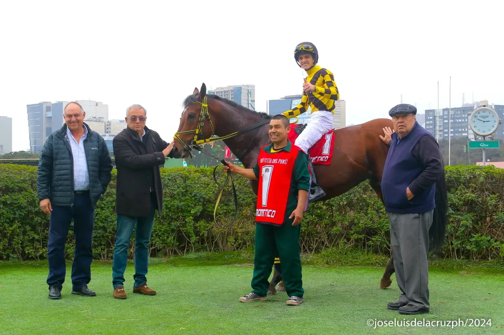 WhatsApp Image 2024-08-13 at 13.40.01 (1)