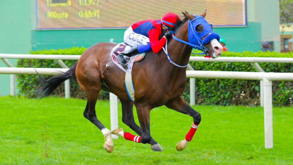 WhatsApp Image 2023-07-22 at 2.20.15 PM